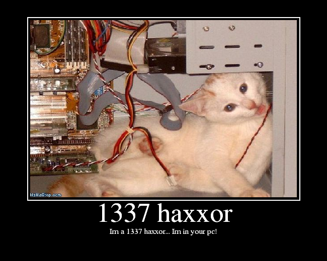 File:1337haxxor.png